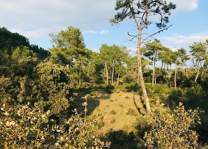 L'ocean, T3 Neuf 300m De La Classe 3 Etoiles *